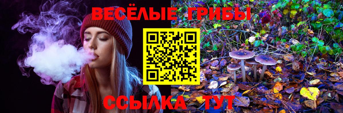 Галлюциногенные грибы ЛСД Сорочинск