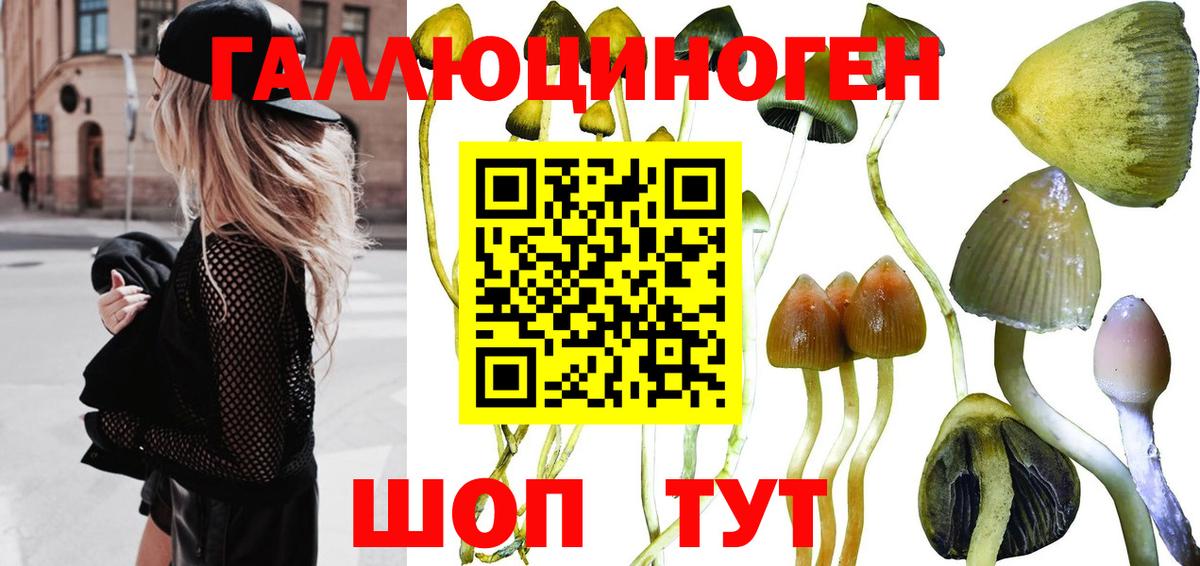 Сорочинск  Псилоцибиновые грибы прущие грибы  Вход с VPN  Галлюциногенные грибы мухоморы 